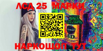 spice Гатчина