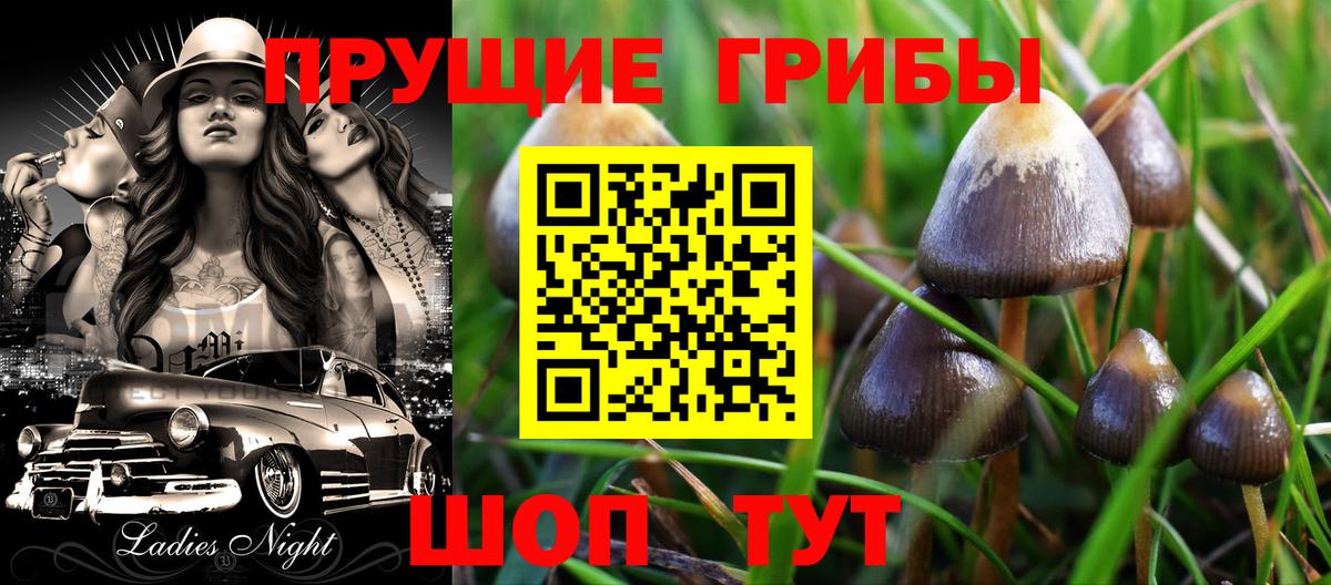Псилоцибиновые грибы Magic Shrooms  Вход с VPN  дарнет шоп  Ливны 